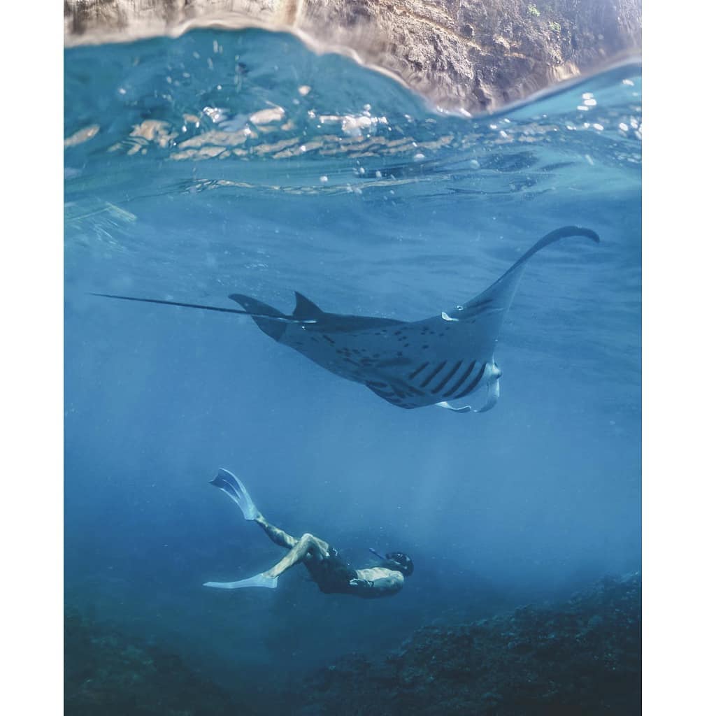 Best Komodo Diving Liveaboard Destinations for Snorkel and Chill