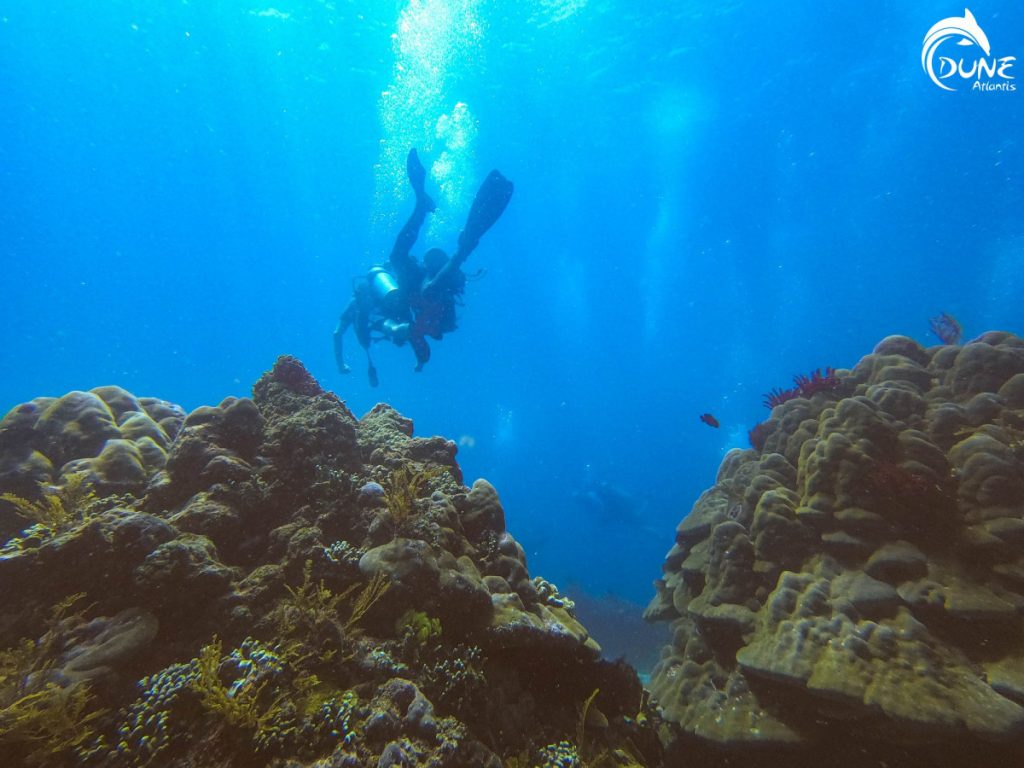 Getting Immersed in the Ocean Life of Bali is A Great Form of Therapy