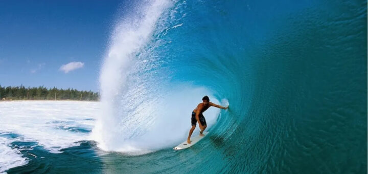 Web Design for Surf Camps in Bali: Catch the Wave