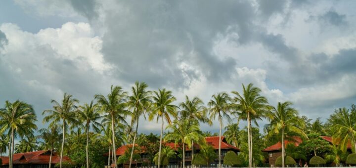 Palm trees on white sand under cloudy sky during daytime photo
